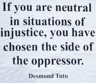 Stop-Animal-Cruelty-Apathy-and-Indifference-friends-of-injustice