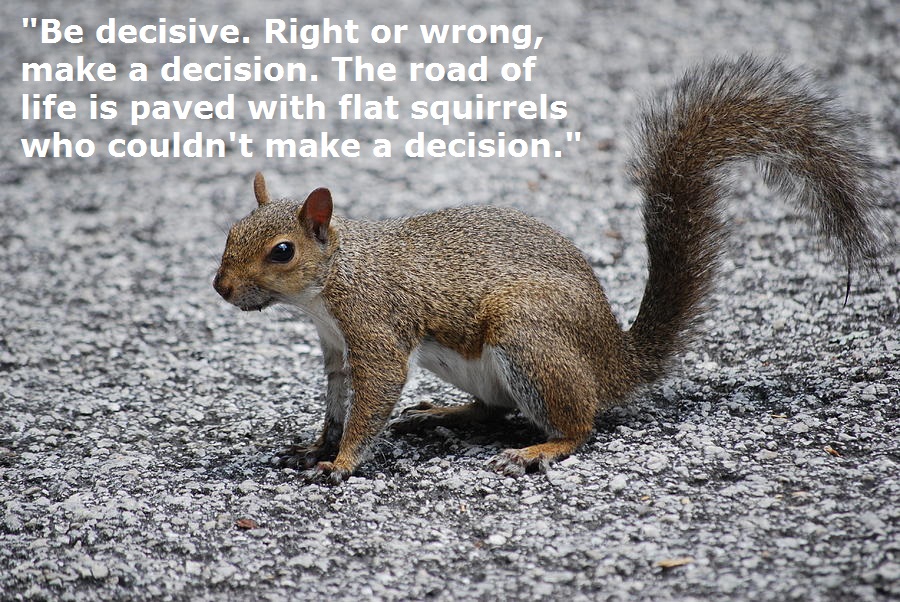 squirrel-on-a-road-text