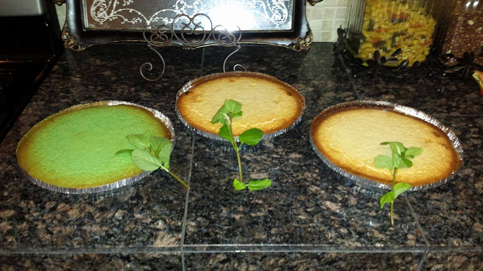 10312408_10201009150147553_9109858693118982478_n