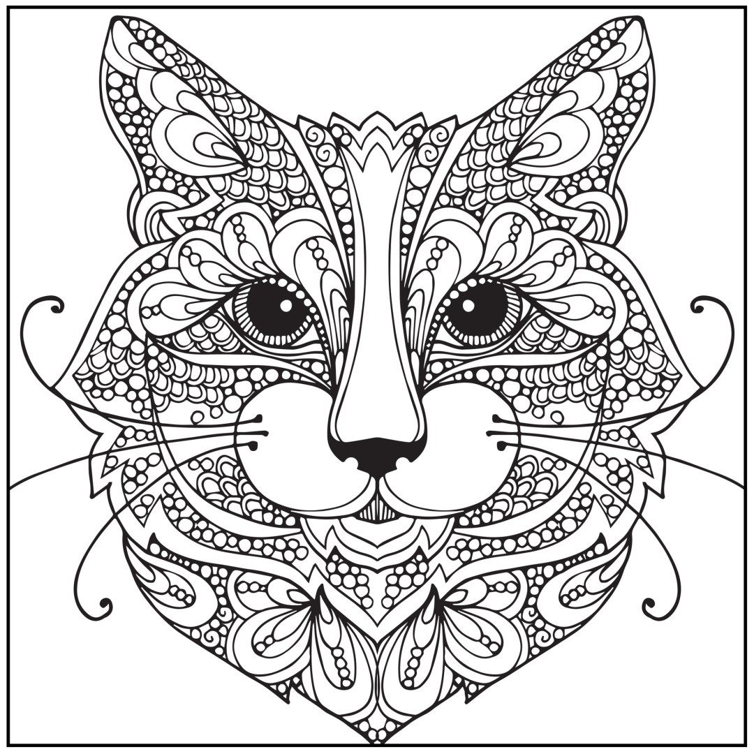 ACB10005_WINTER_CLR_BK.indd