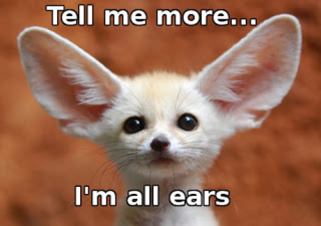 all-ears