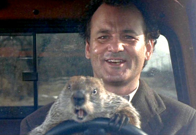 groundhog-day