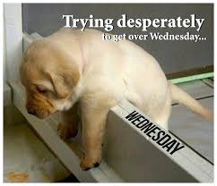hump day